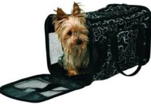 Как выбрать сумку-переноску для собаки?