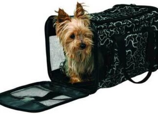 Как выбрать сумку-переноску для собаки?