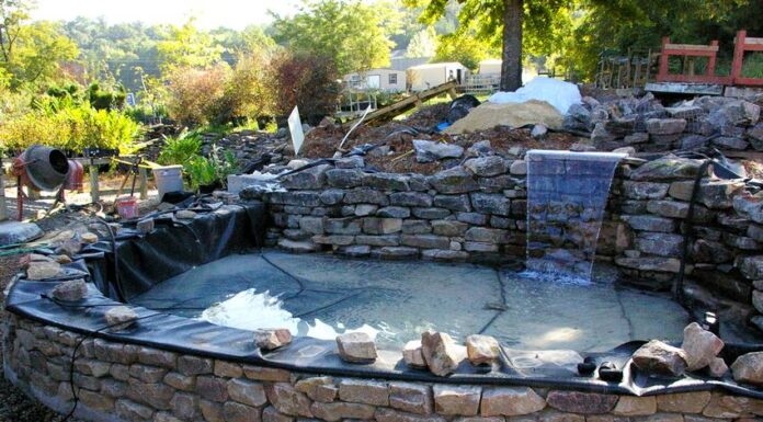 Основные этапы строительства пруда