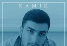 Скачать песню Kamik — Голос (Cover)