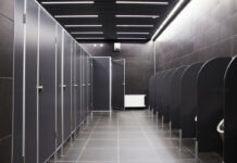 Что из себя представляют сантехнические перегородки?