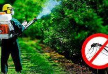 Уничтожение комаров на дачном участке