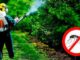 Уничтожение комаров на дачном участке
