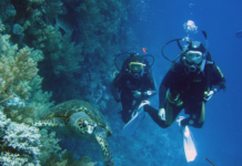 Дайвинг в Крыму: лучшие места