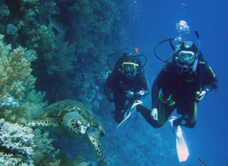 Дайвинг в Крыму: лучшие места