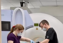 Использование МРТ и КТ для домашних животных