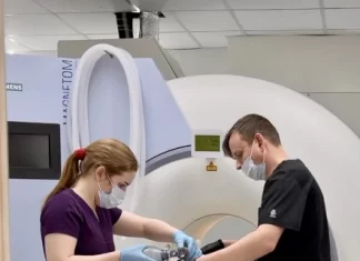 Использование МРТ и КТ для домашних животных