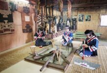 Трагедия загадочных айнов