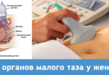 Важность УЗИ органов малого таза в современной гинекологии: диагностика и контроль заболеваний