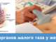 Важность УЗИ органов малого таза в современной гинекологии: диагностика и контроль заболеваний