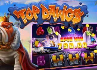 Обзор слота Top Dawgs: захватывающий продукт от известного разработчика софта для онлайн казино