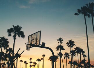 Пин Ап: ставки на спорт, их особенности и подготовка