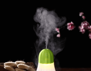 Ароматизация воздуха в помещении