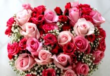 Какие цветы дарить на День Святого Валентина?