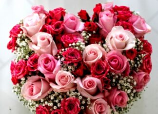 Какие цветы дарить на День Святого Валентина?