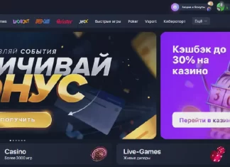 Обзор платформы 1Win