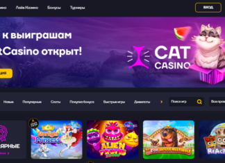Cat Casino: обзор официального портала