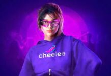 Cheelee: новый виток в эволюции социальных сетей