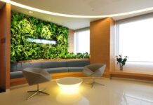Озеленение офиса: почему это важно