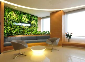 Озеленение офиса: почему это важно