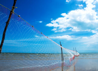 Рыболовные сети: классификация и правила оснащения