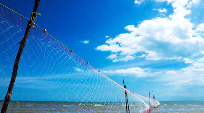 Рыболовные сети: классификация и правила оснащения
