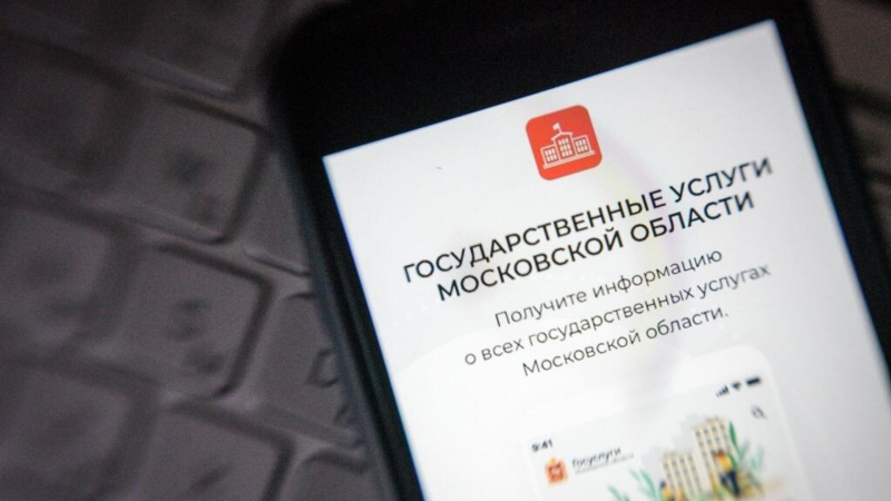 Россияне активно пользуются сервисом "Мобильный избиратель"