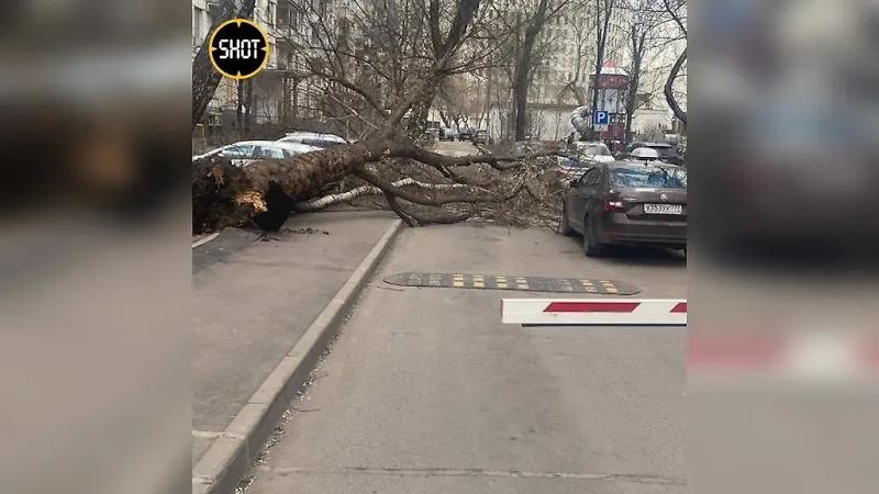 Собянин: Городские службы принимают все меры по устранению последствий непогоды