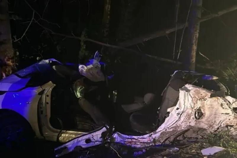 Четыре 15-летние девушки погибли во влетевшей в дерево машине в Подмосковье