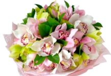 Поводы для доставки цветов: радость, признание, комплименты и многое другое