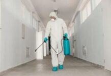 Когда необходима санитарная дезинсекция