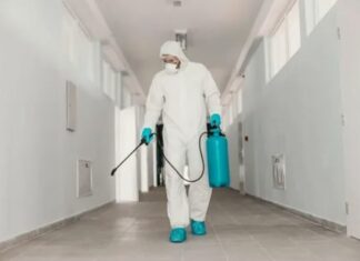 Когда необходима санитарная дезинсекция