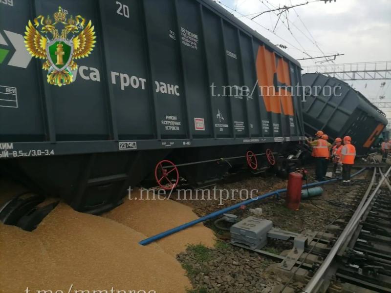 В Воронежской области сошли с рельсов девять вагонов с зерном