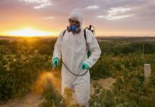 Пестициды: Преимущества и недостатки и современные тенденции