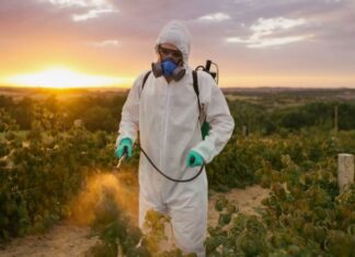 Пестициды: Преимущества и недостатки и современные тенденции