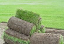 Рулонные газоны: виды, характеристики и применение