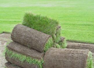 Рулонные газоны: виды, характеристики и применение