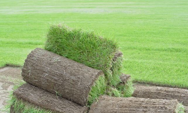 Рулонные газоны: виды, характеристики и применение