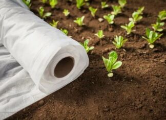Спанбонд: универсальный укрывной материал для сельского хозяйства и не только
