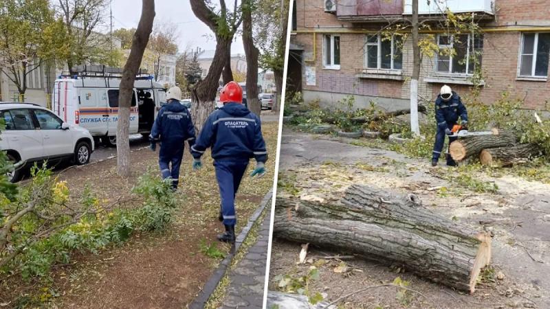 Глава Таганрога призвала жителей подготовиться к эвакуации из-за наводнения