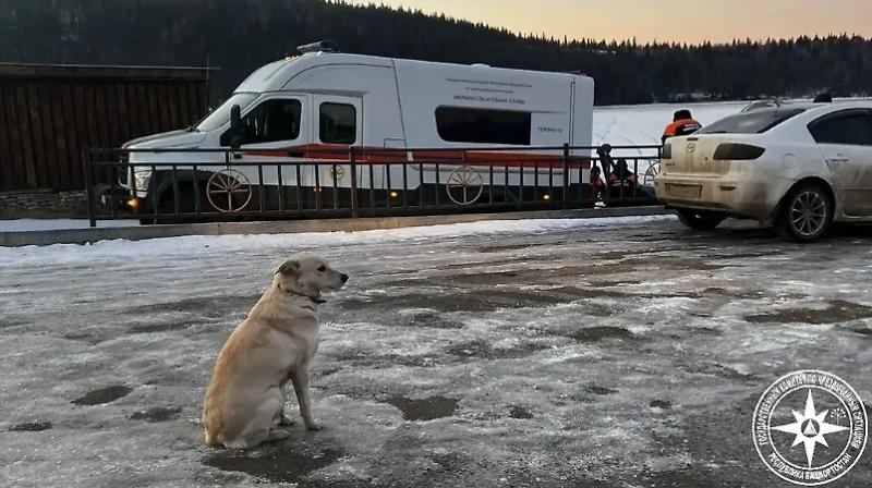 Племянник утонувшего в Уфе мужчины: Собака Белка будет жить в своём старом доме