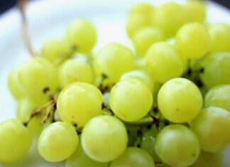 Свежий виноград: выбираем качественный продукт