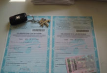 Справка для водителей 003-В/у — зачем нужна?