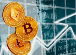 Будущее криптовалютных платформ: тенденции и перспективы развития