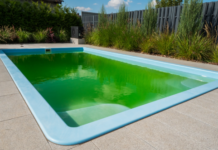 Водоросли в бассейне: как от них избавиться и сохранять воду чистой