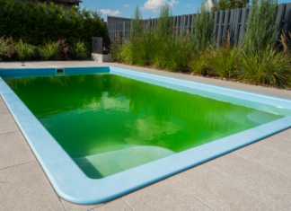 Водоросли в бассейне: как от них избавиться и сохранять воду чистой
