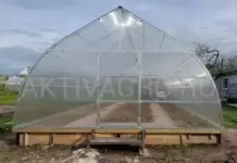 Теплицы: виды, преимущества и применение на приусадебном участке