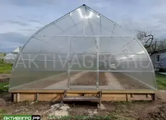 Теплицы: виды, преимущества и применение на приусадебном участке