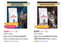 Чем кормить котёнка, взрослую и пожилую кошку