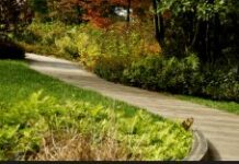 Магия природы: как ландшафтный дизайн преображает обычные сады в произведения искусства